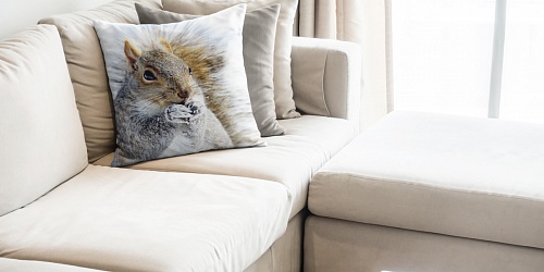 Decorative Pillowcase Squirrel