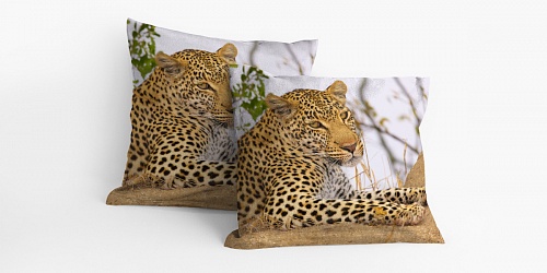 Pillowcase Leopard Live