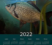 Kuchyňská utěrka Calendar Under Water