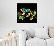 Painting Chameleon