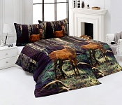 Bedding Deer in the Forest
